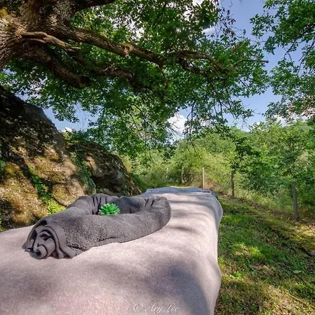 Du Mont Plaisir
