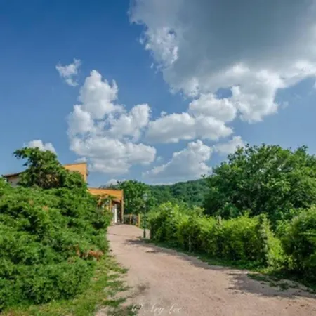 Gite Du Mont Plaisir